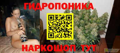 spice Краснодар